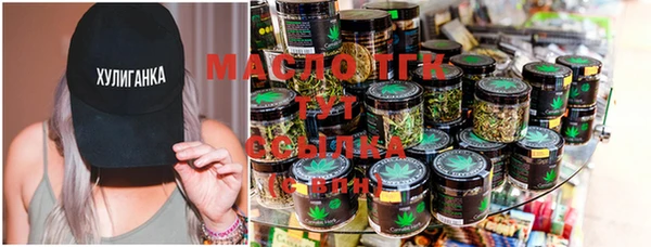 spice Ельня
